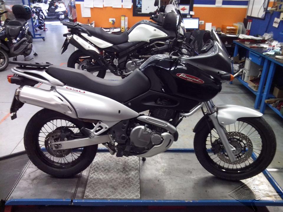 Preparazione Suzuki XF 650 da Only Racing Verona